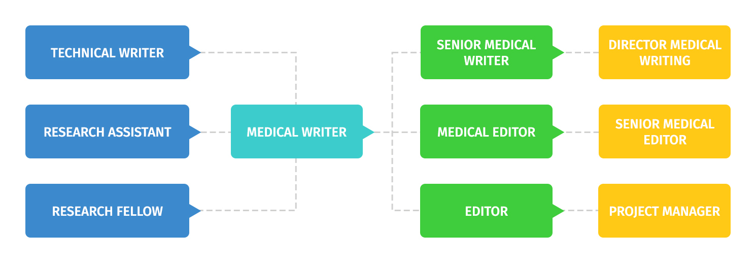 Medical writer career path